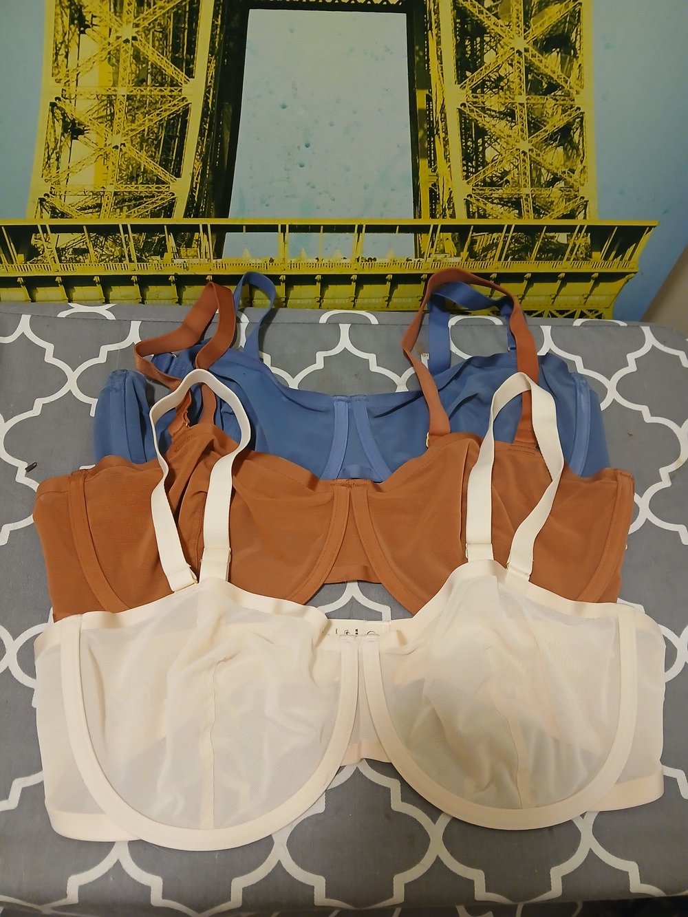 Cuup Women’s Underwire Support Bra – Blue, Brown, Cream Balconette 3 Pc.Lot
